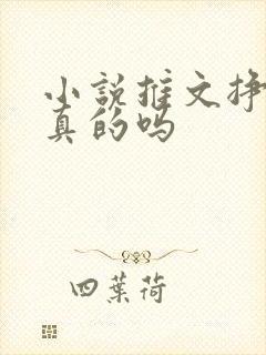 小说推文挣钱是真的吗