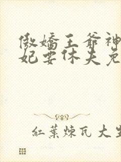 傲娇王爷神医王妃要休夫免费阅读