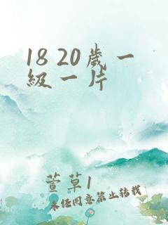 18 20岁一级一片