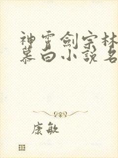 神霄剑宗林枫苏慕白小说名叫什么