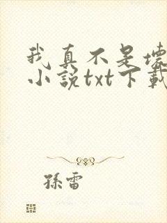 我真不是坏男人小说txt下载