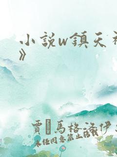 小说w镇天神医》