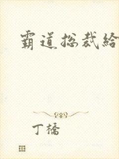 霸道总裁给点爱