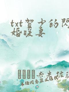 txt贺少的闪婚暖妻