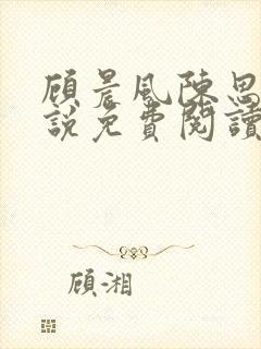 顾晨风陈思雨小说免费阅读最新章节