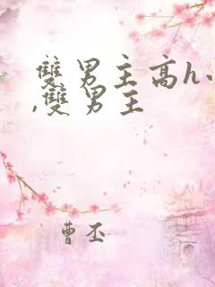 双男主高h小说,双男主