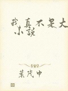 我真不是大反派 小说