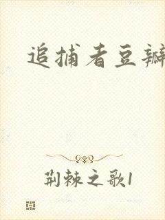 追捕者豆瓣评分