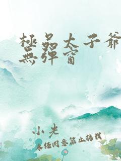 极品太子爷小说无弹窗