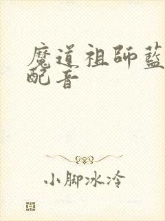 魔道祖师蓝忘机配音