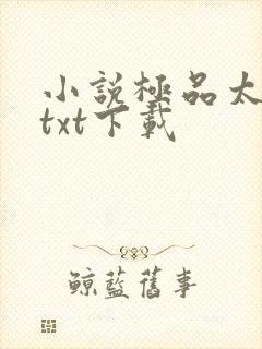 小说极品太子爷txt下载