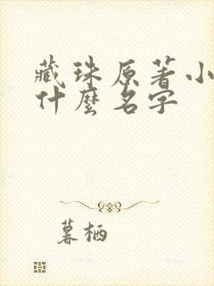 藏珠原著小说叫什么名字