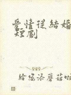 爱情从结婚开始 短剧