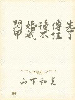 闪婚后傅先生马甲藏不住了 视频