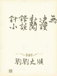 针锋对决无删减小说阅读