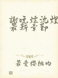 谢晚烟沈煜小说最新章节