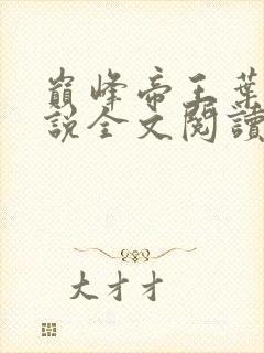 巅峰帝王叶离小说全文阅读