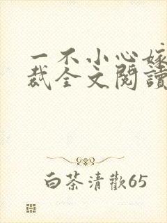 一不小心嫁了总裁全文阅读