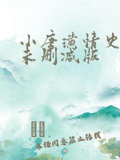 小唐璜情史2之未删减版