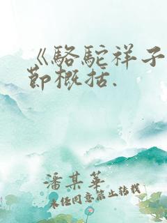 《骆驼祥子》情节概括.