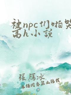 被npc们啪哭高h小说