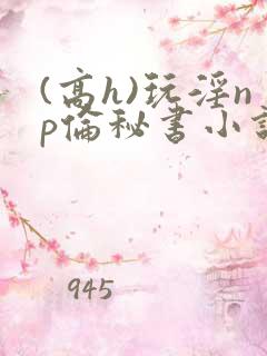 (高h)玩淫np伦秘书小说