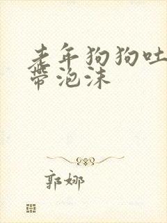 老年狗狗吐黄水带泡沫