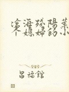 沧海残阳叶凡七个媳妇的小说