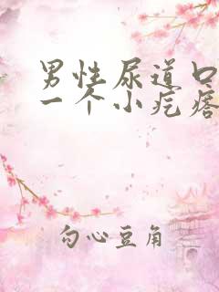 男性尿道口长了一个小疙瘩怎么回事