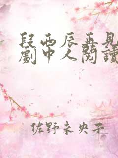 段西辰再见已无剧中人阅读全文