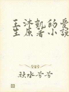 王沐凯的爱与新生原著小说