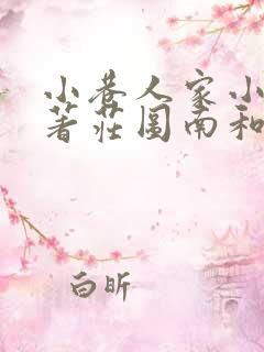 小巷人家小说原著庄图南和李佳