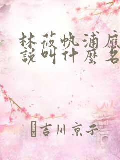 林莜帆浦应辛小说叫什么名字