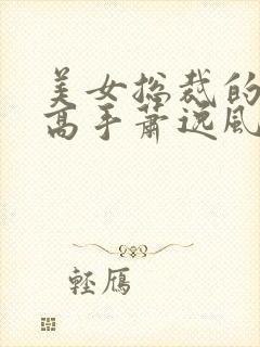 美女总裁的最强高手萧逸风笔趣阁