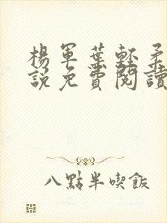 杨军叶轻柔的小说免费阅读无弹窗