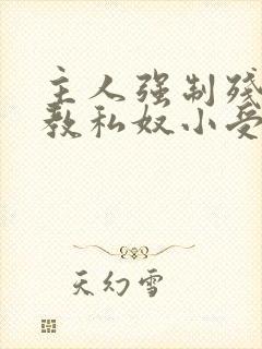 主人强制残忍调教私奴小受小说