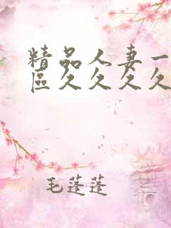 精品人妻一区二区久久久久