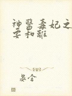 神医毒妃之王妃要和离