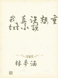 我真没想重生啊txt小说