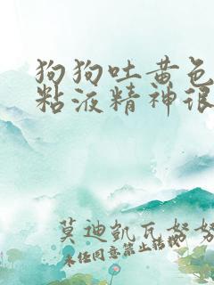 狗狗吐黄色泡沫粘液精神很好