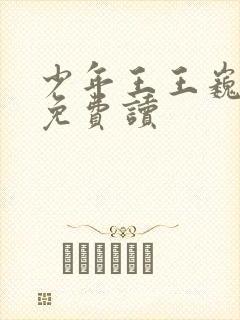 少年王王巍全文免费读