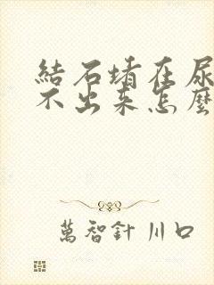 结石堵在尿道尿不出来怎么办