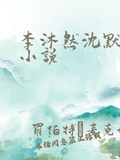 李沐然沈默鑫的小说