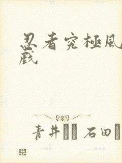 忍者究极风暴游戏