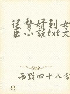 从赘婿到女帝宠臣小说txt文本下载