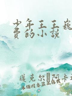 少年王王巍全免费的小说