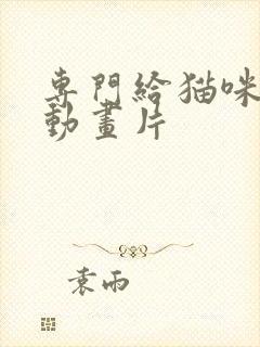 专门给猫咪看的动画片