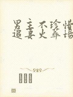 男主不珍惜女主追妻火葬场