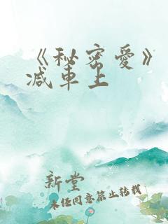 《秘密爱》未删减车上