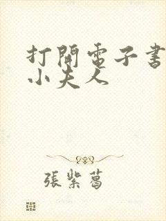 打开电子书续弦小夫人